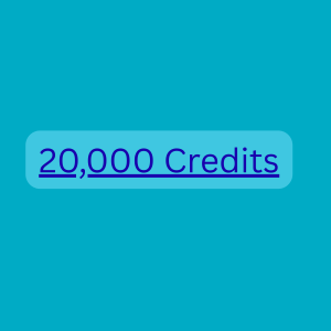 Website Audit 20000 Credit