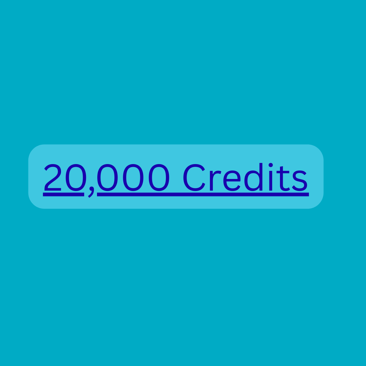 Website Audit 20000 Credit