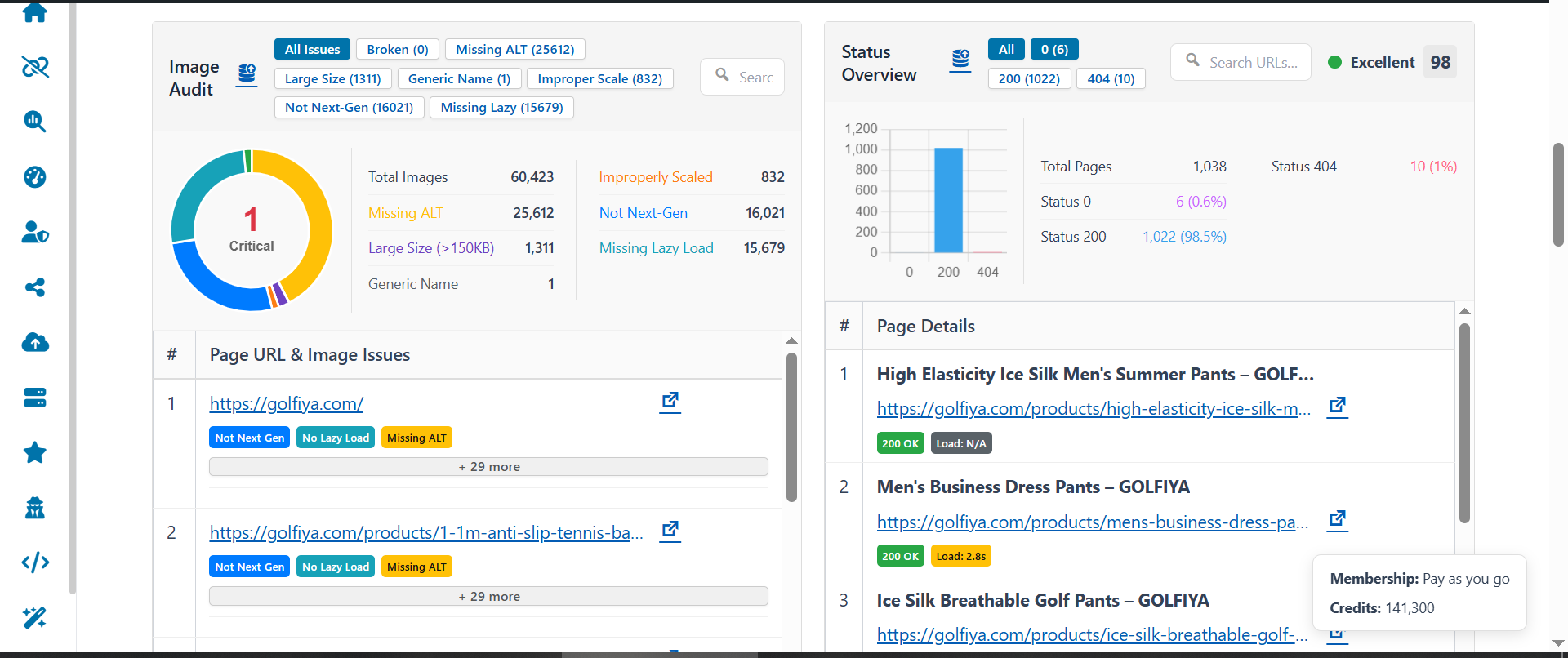 Image Audit visual