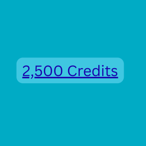 SEO Audit 2500 Credit