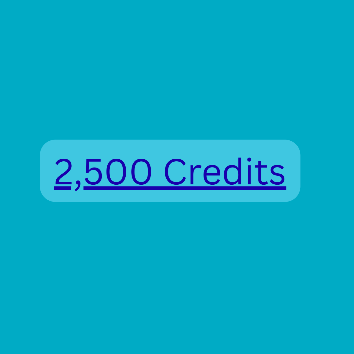 SEO Audit 2500 Credit