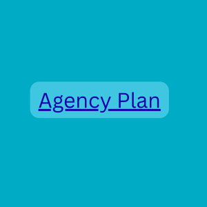 Agency Plan