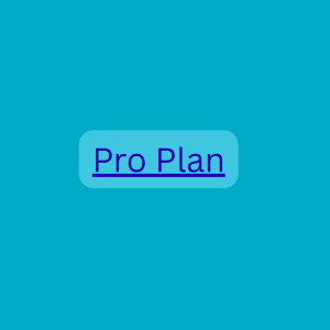 SEO Audit Pro plan