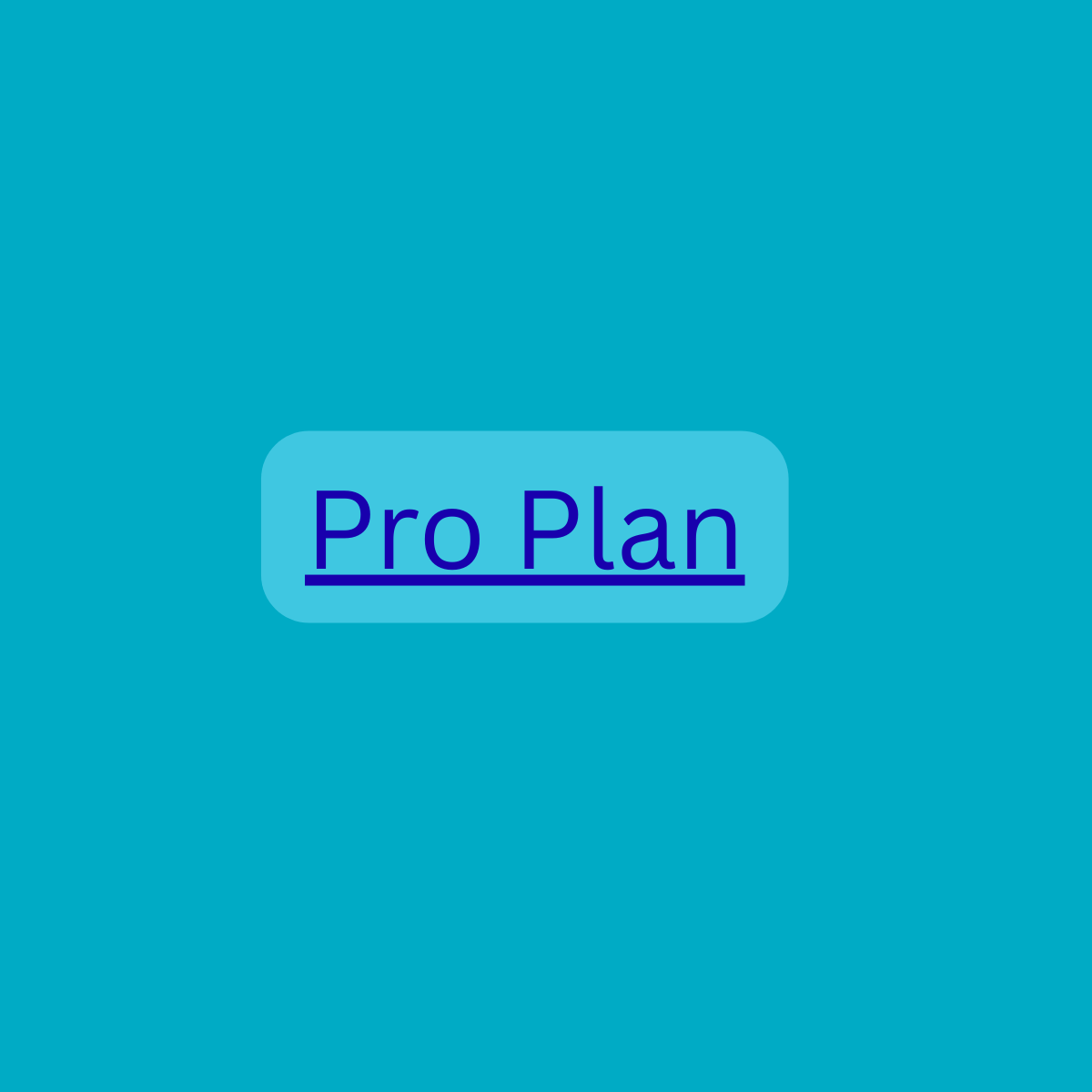 SEO Audit Pro plan
